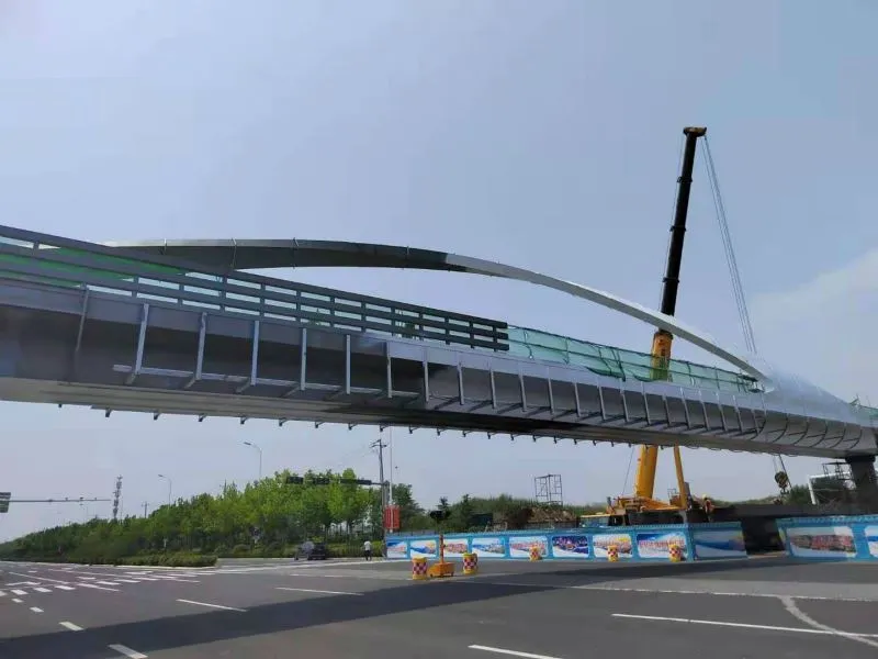 pedestrian bridge  (1)