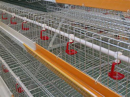 Automatic Equipment Cage Chicken House