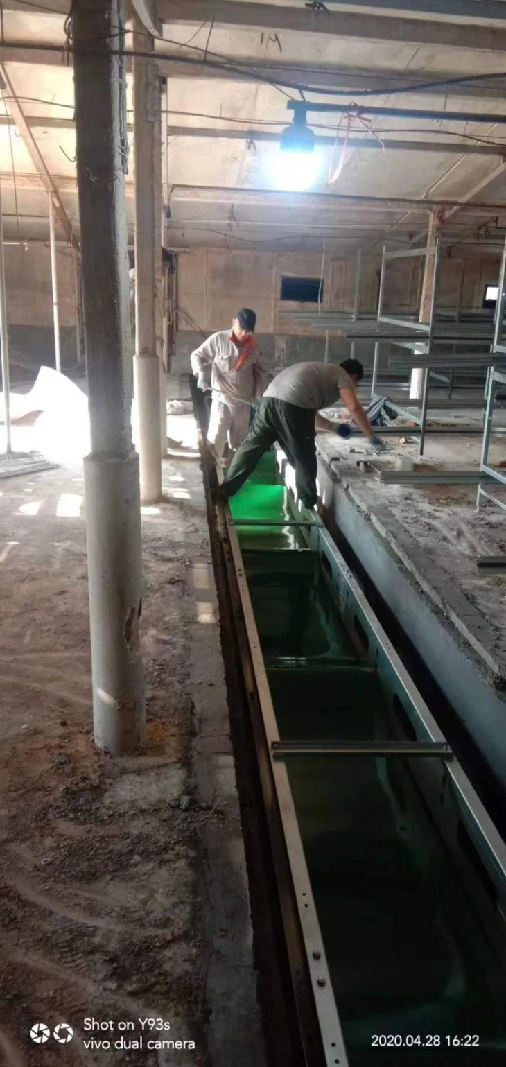 Automatic Equipment Cage Chicken House